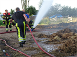 Prio 2 Berm Ruigte Brand De Miedwei Twijzel
